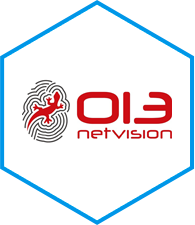 013 Netvision